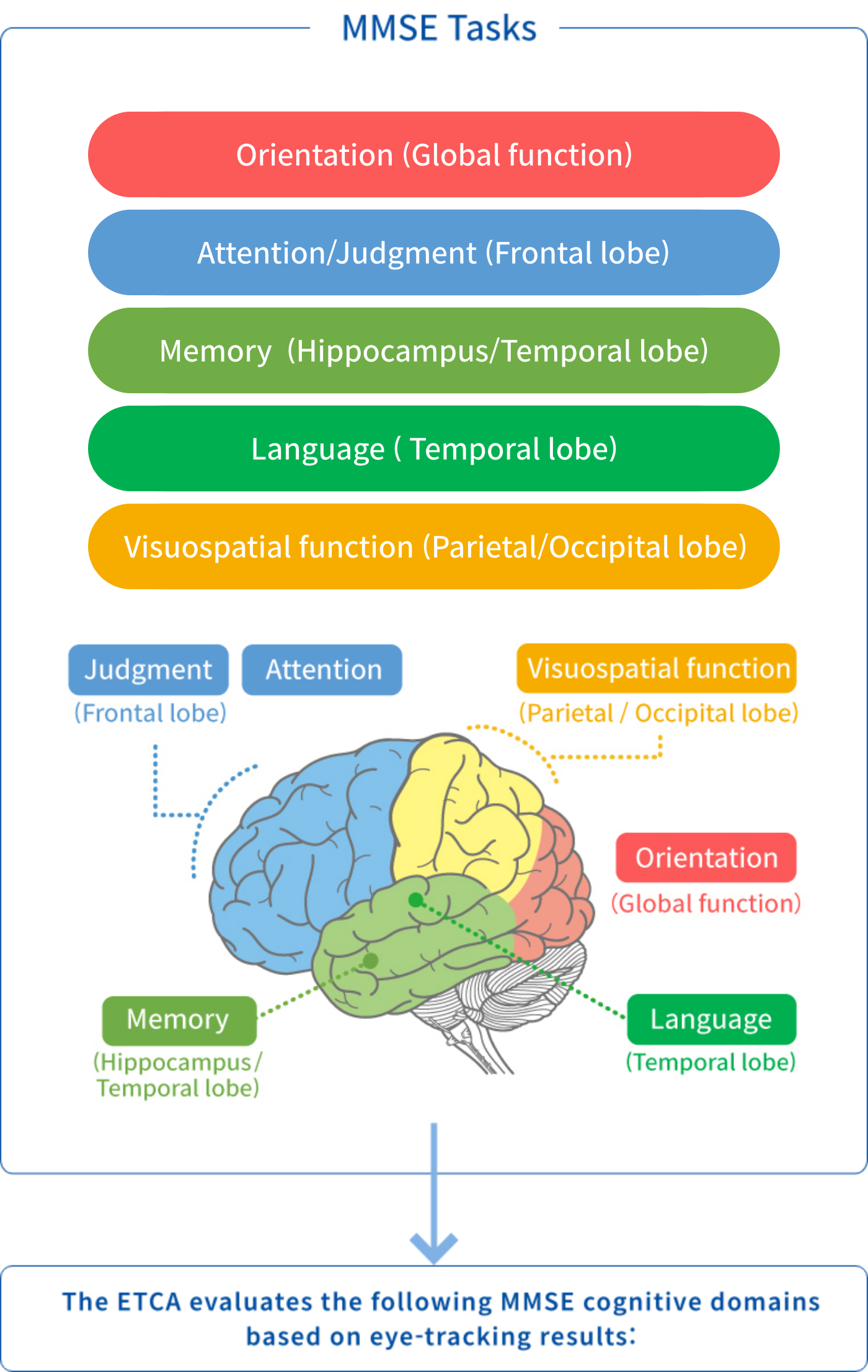 MMSE Tasks